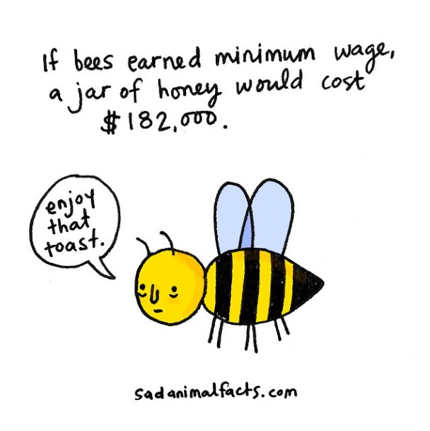 如果给蜜蜂发最低薪水，一瓶蜂蜜可能会价值18.2万美元。 “享受那片吐司吧。”