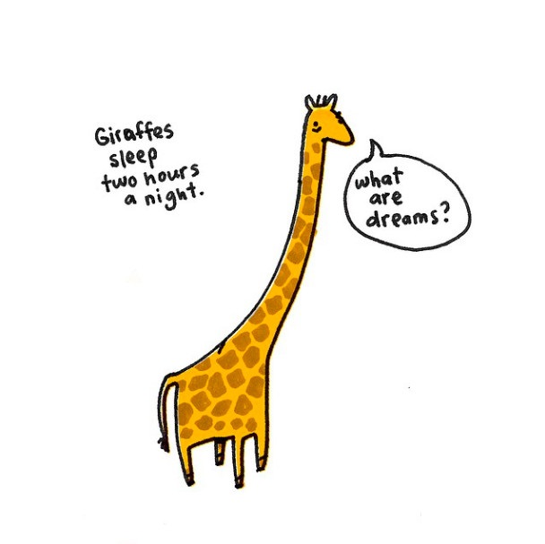 长颈鹿每晚只睡两个小时。 “做梦是什么？”