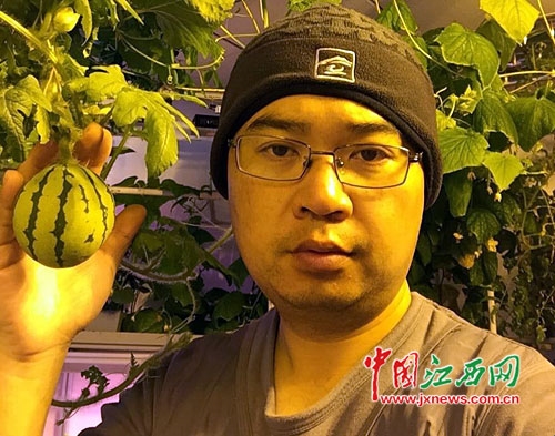 历史突破！中国医生首次在南极种出蔬菜：羡煞国外