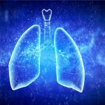 《自然》颠覆发现：肺竟然是个造血器官！
